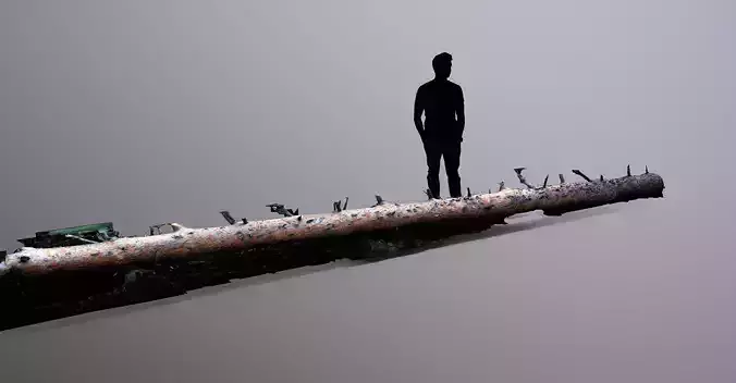 Karelian Pine 04 Raw Scan