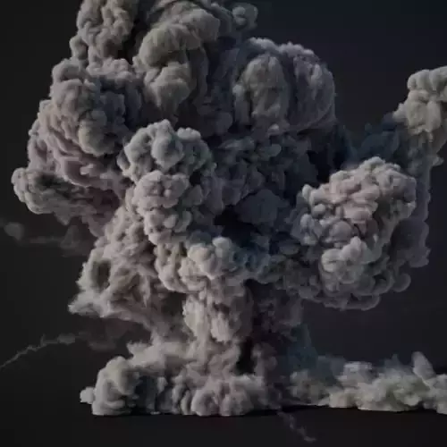 VDB Animated Explosion 7 vol1 3D model