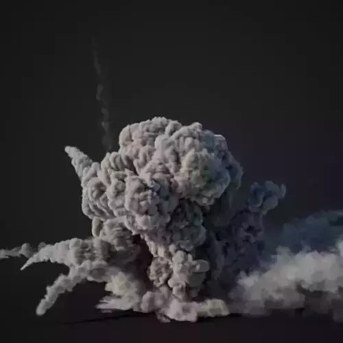 VDB Animated Explosion 4 vol1 3D model
