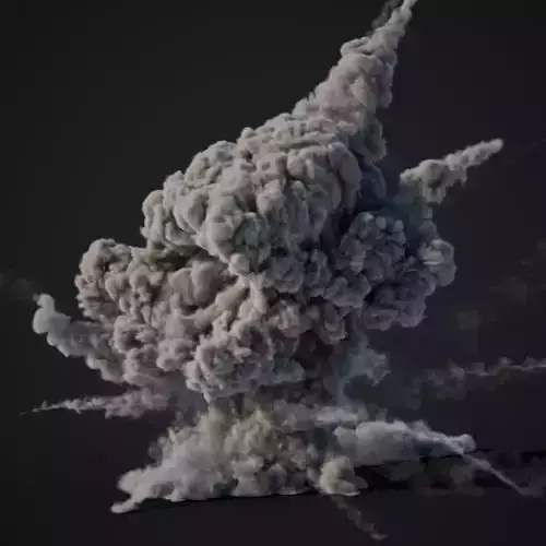 VDB Animated Explosion 3 vol1 3D model