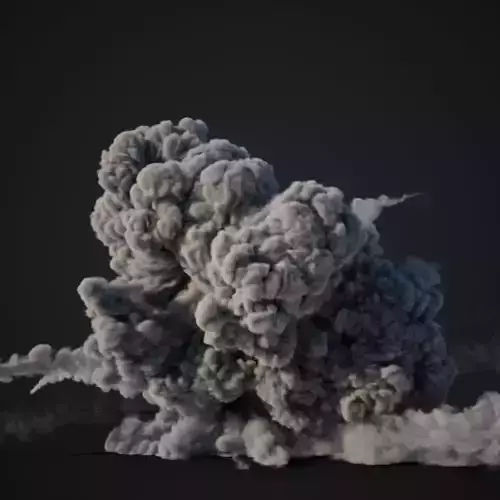 VDB Animated Explosion 12 vol1 3D model