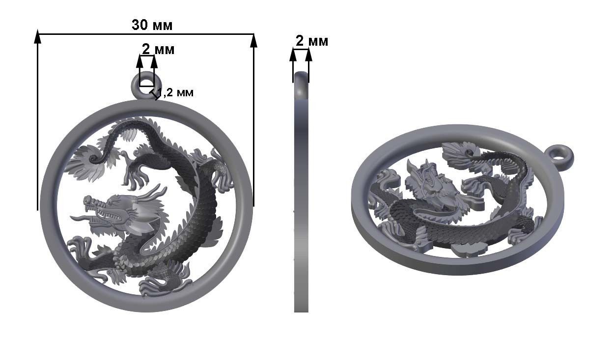 The dragon 3D print model_1
