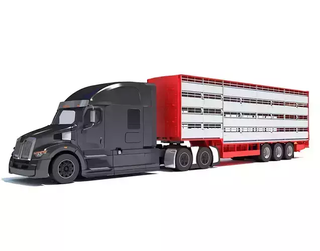 Animal Transporter Truck 3D model