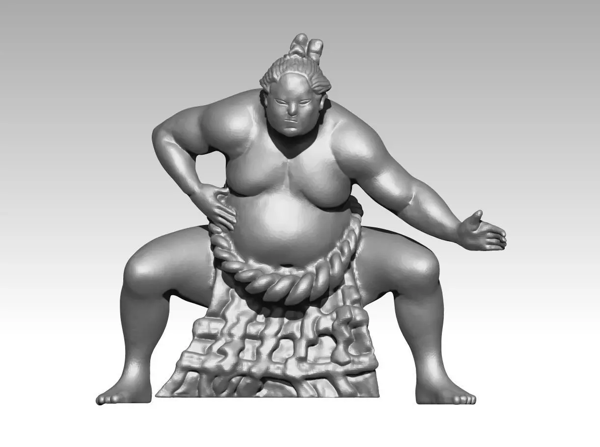 Sumo wrestling 3D print model