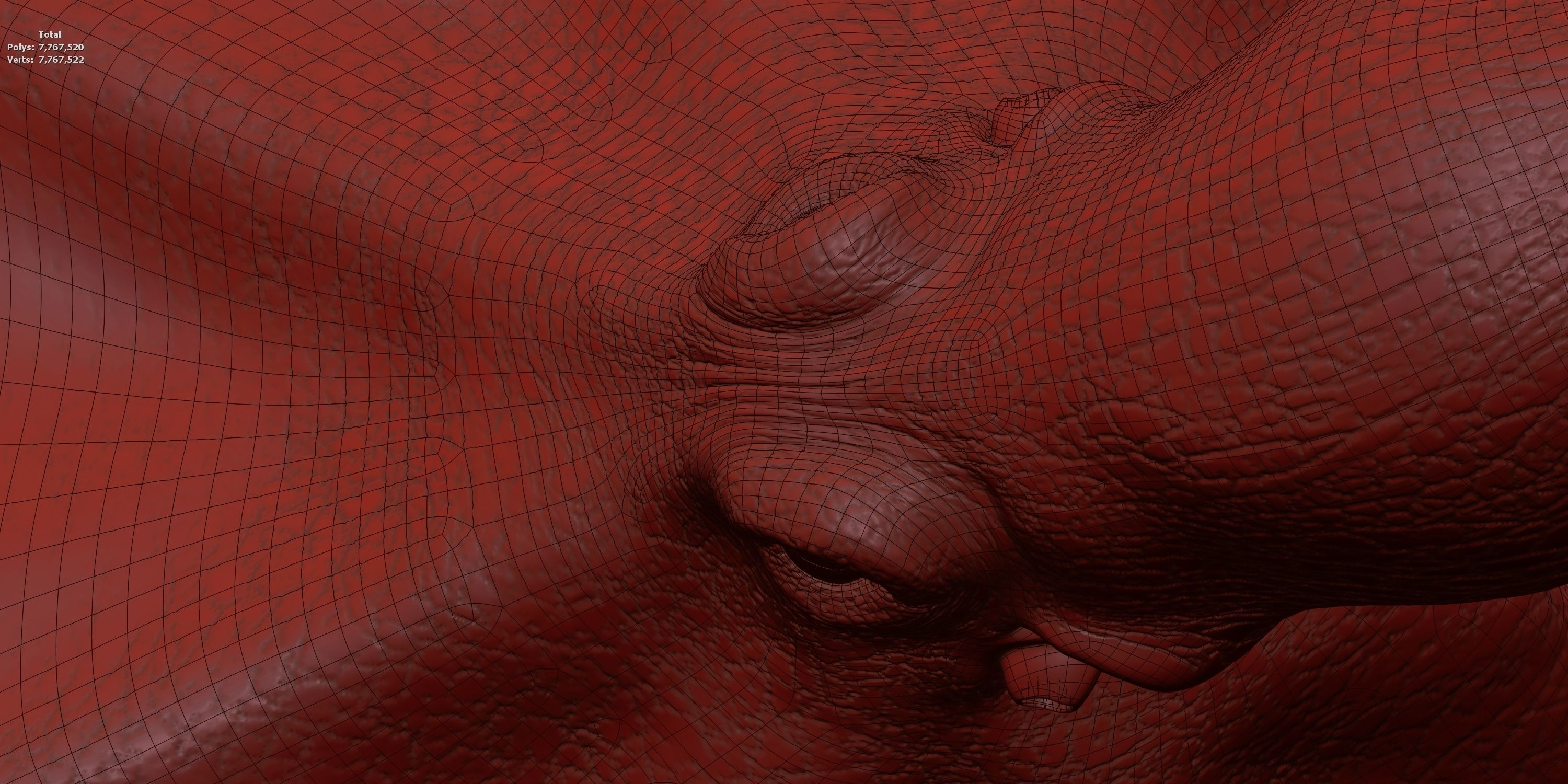 Cayman Octopus 3D model_11