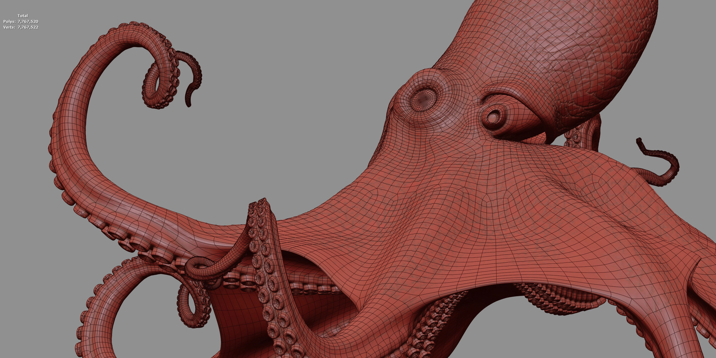 Cayman Octopus 3D model_21