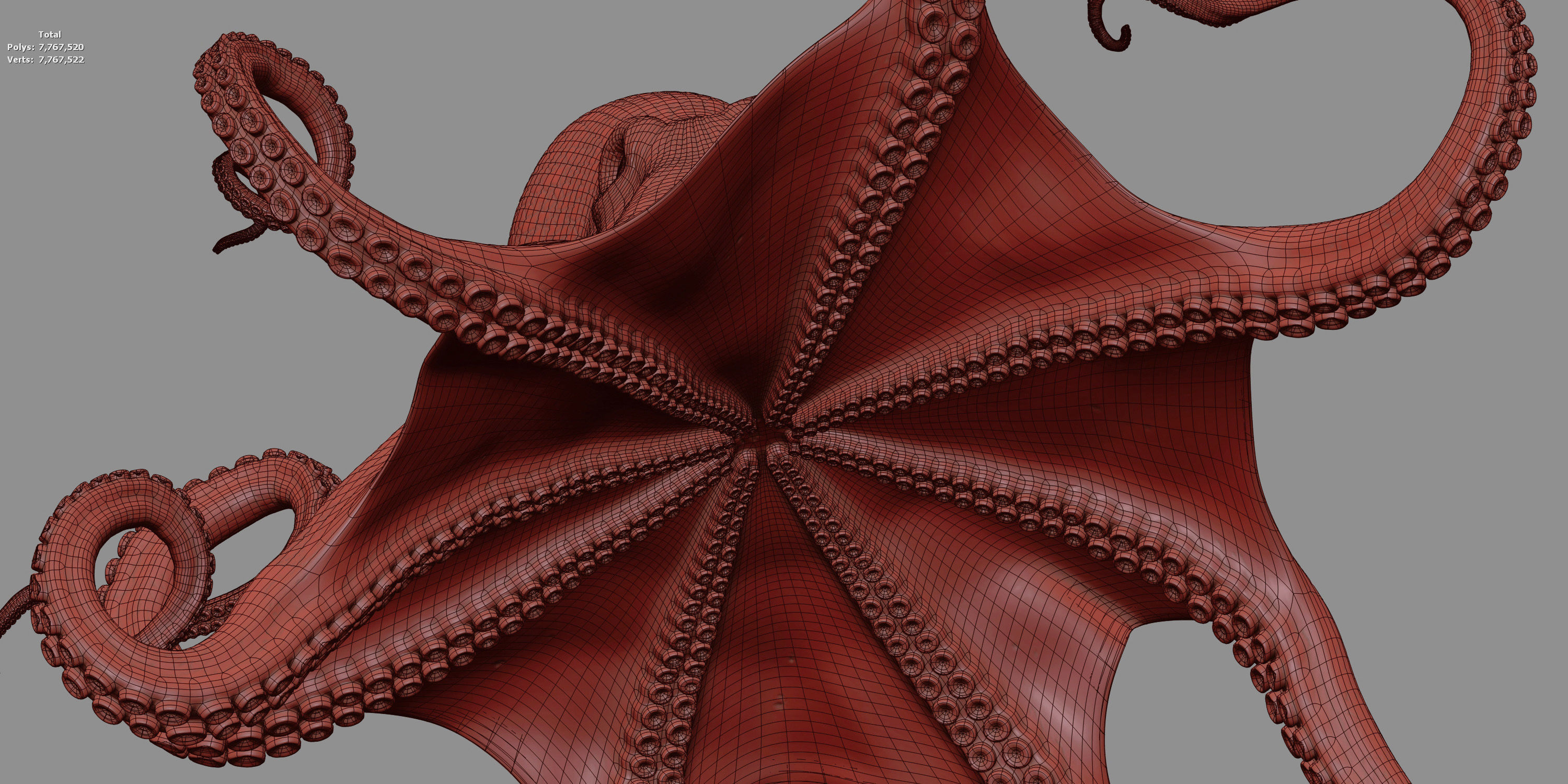 Cayman Octopus 3D model_20