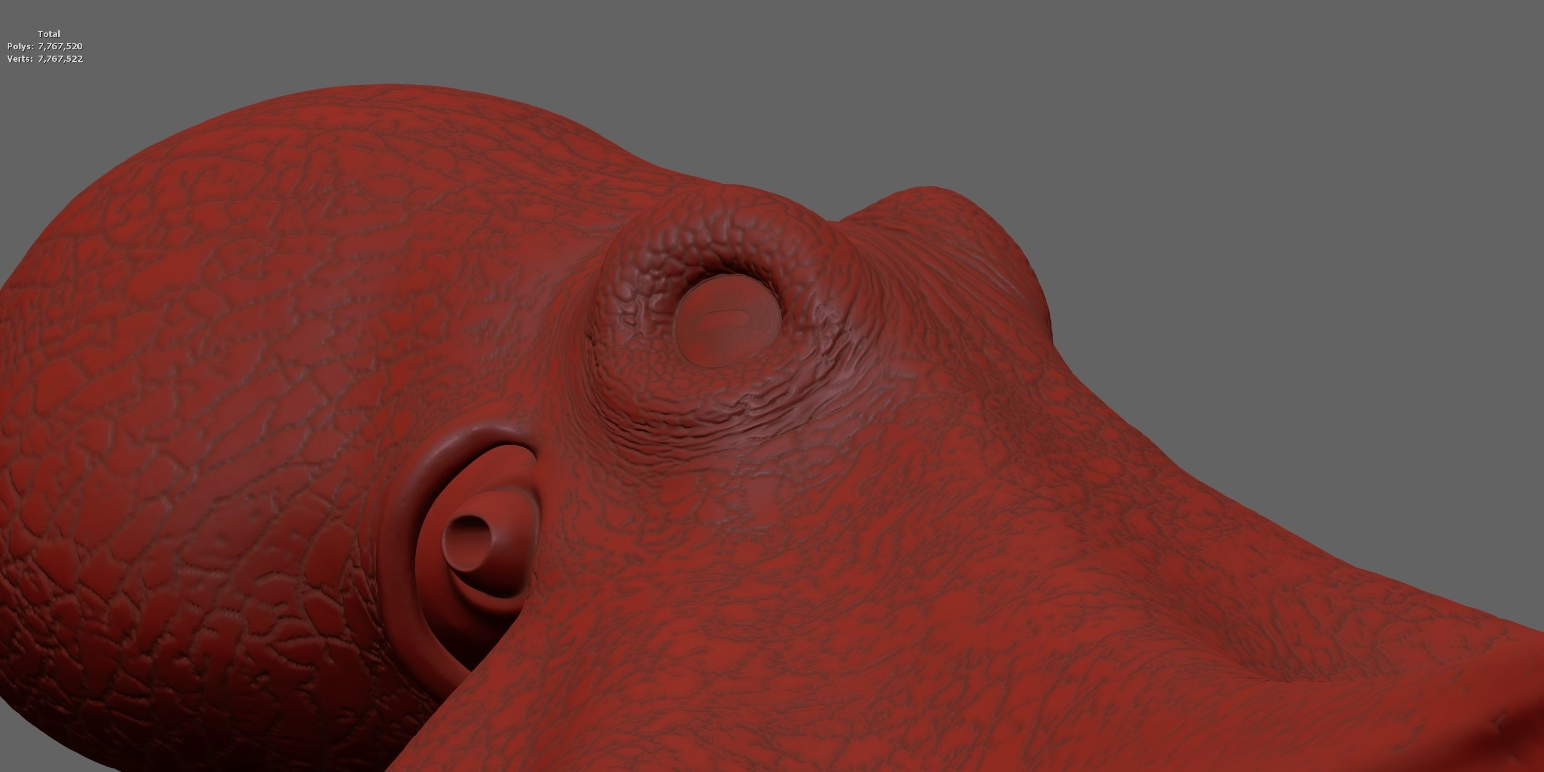 Cayman Octopus 3D model_14