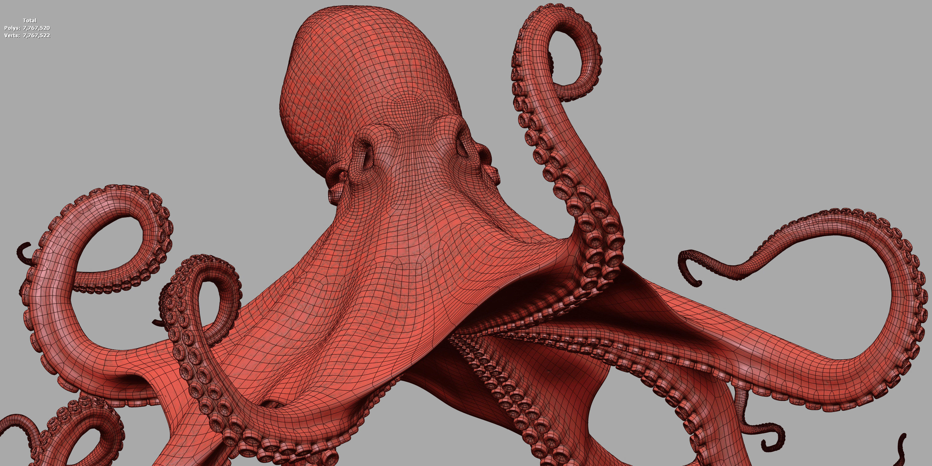 Cayman Octopus 3D model_9