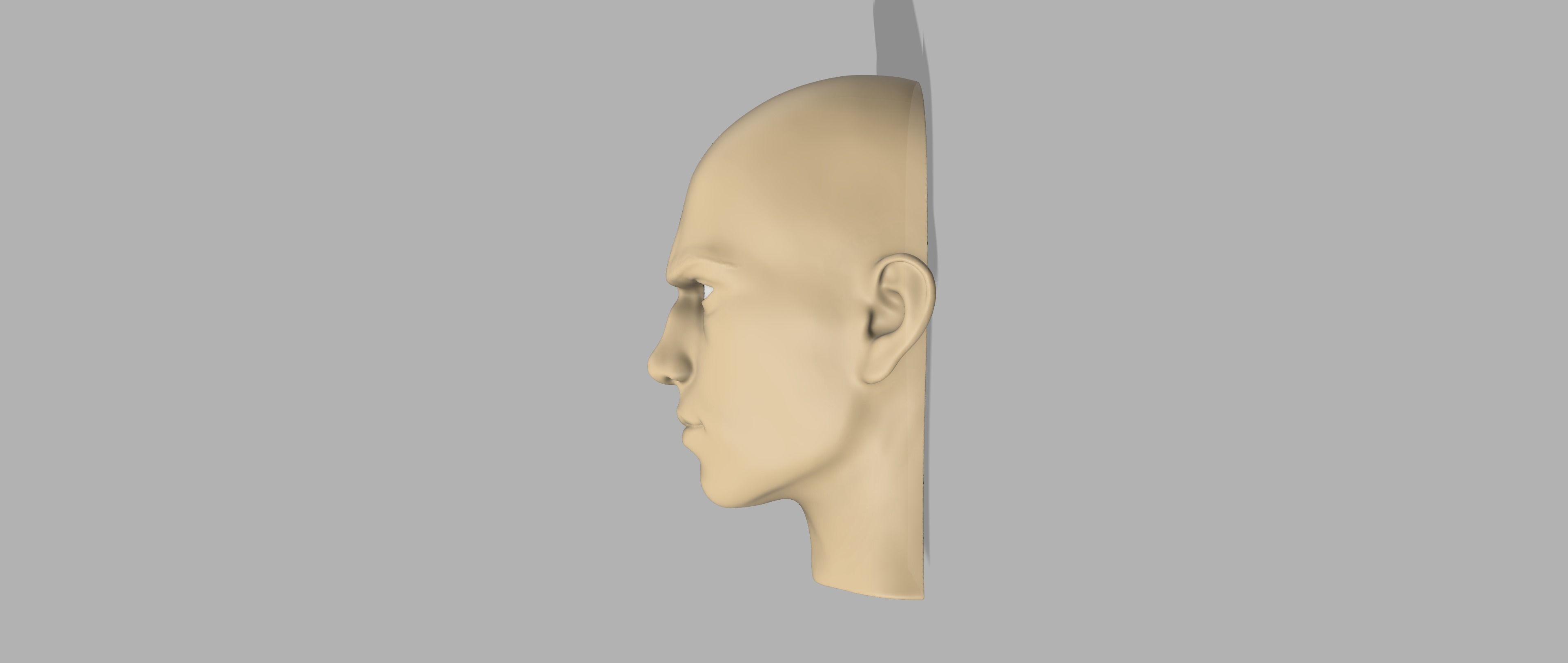 Anakin Skywalker head 3D print model_8