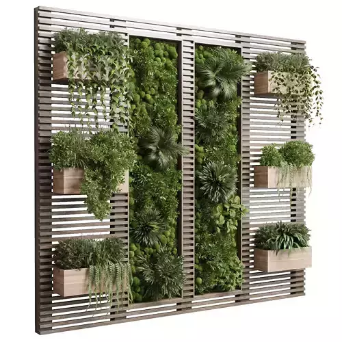 plants set partition in wooden frame - Vertical moss graden