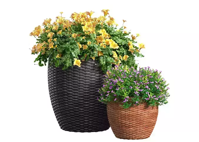 Flowerbed in a garden pot Flowers Garden Plant 