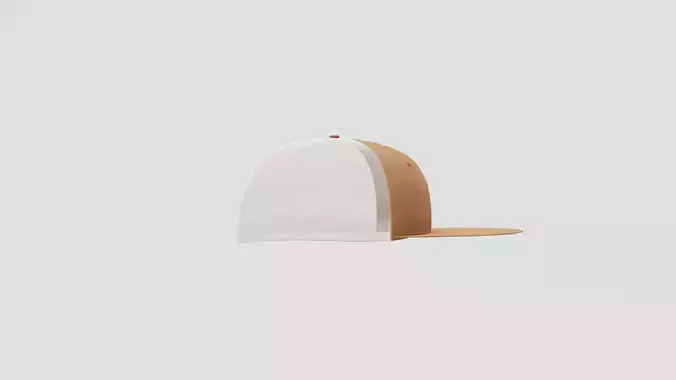 Hat Snapback