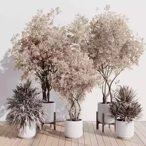 Indoor plant set 423 tree autumn with dried plant