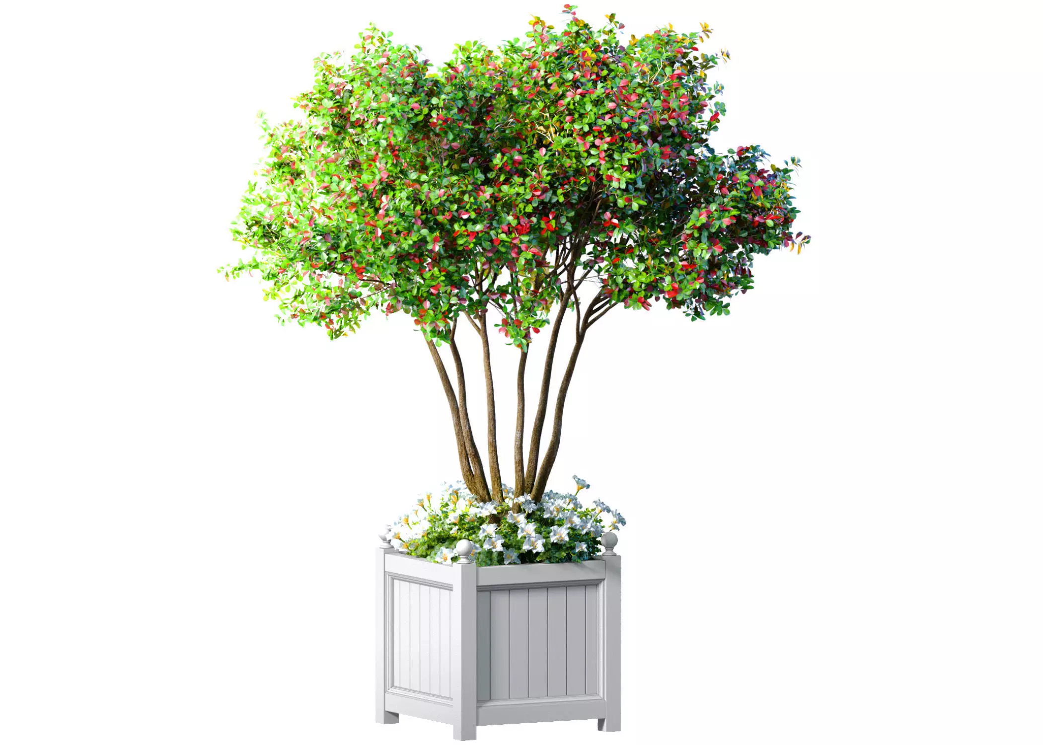 Decorative tree in a garden planter with flowers Houseplant 3D model_0