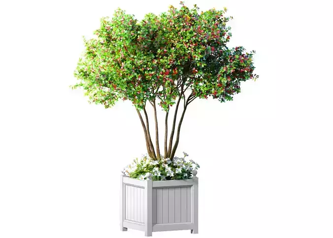 Decorative tree in a garden planter with flowers Houseplant
