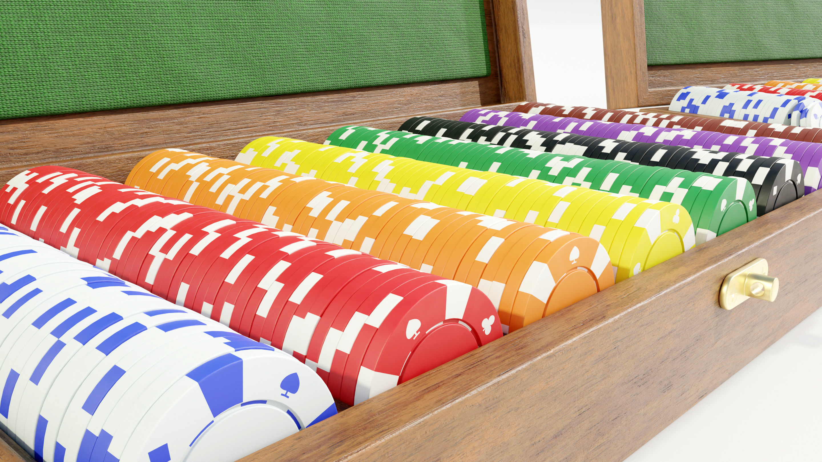 Chips with Case 3D model_8