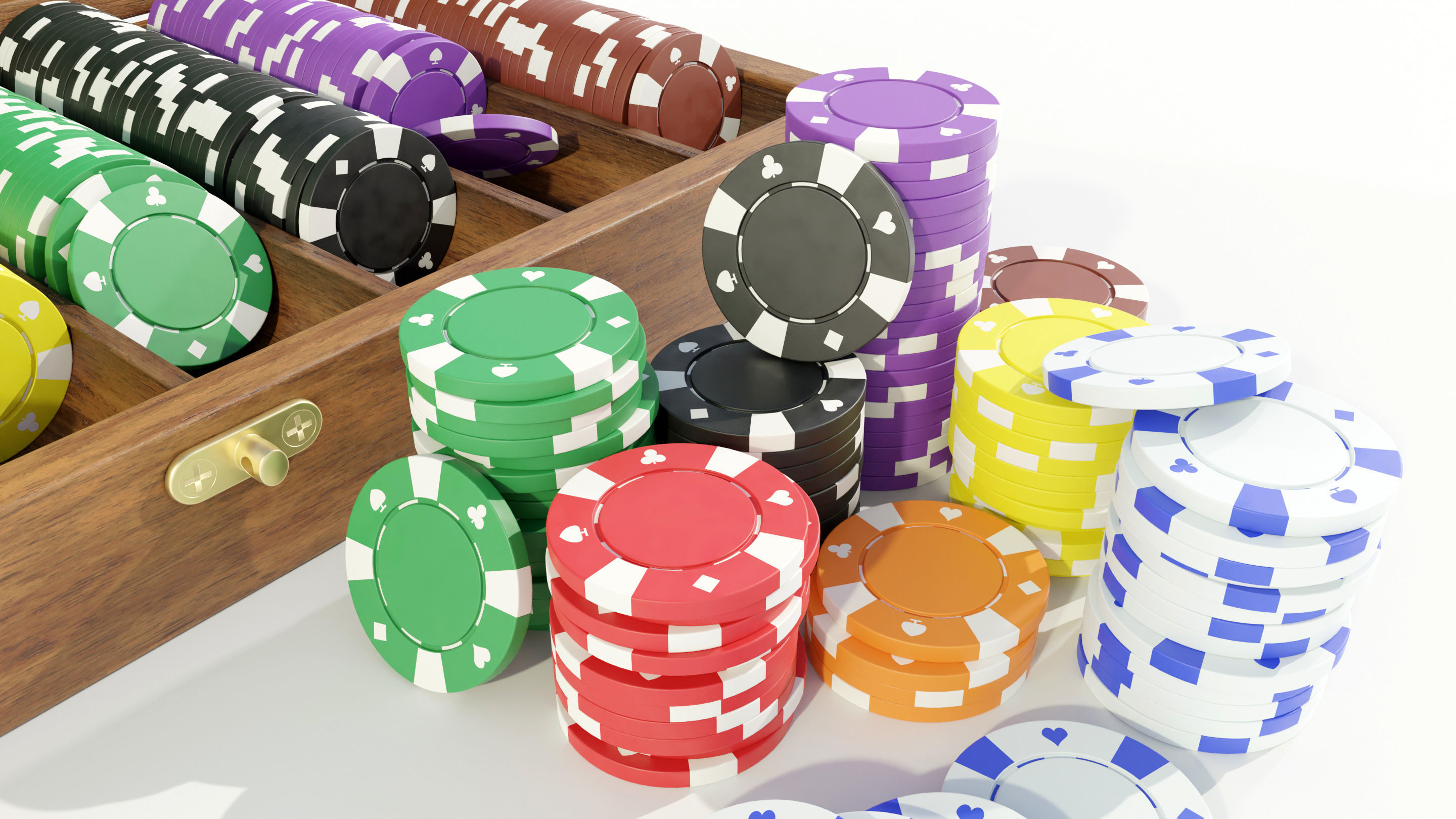 Chips with Case 3D model_7