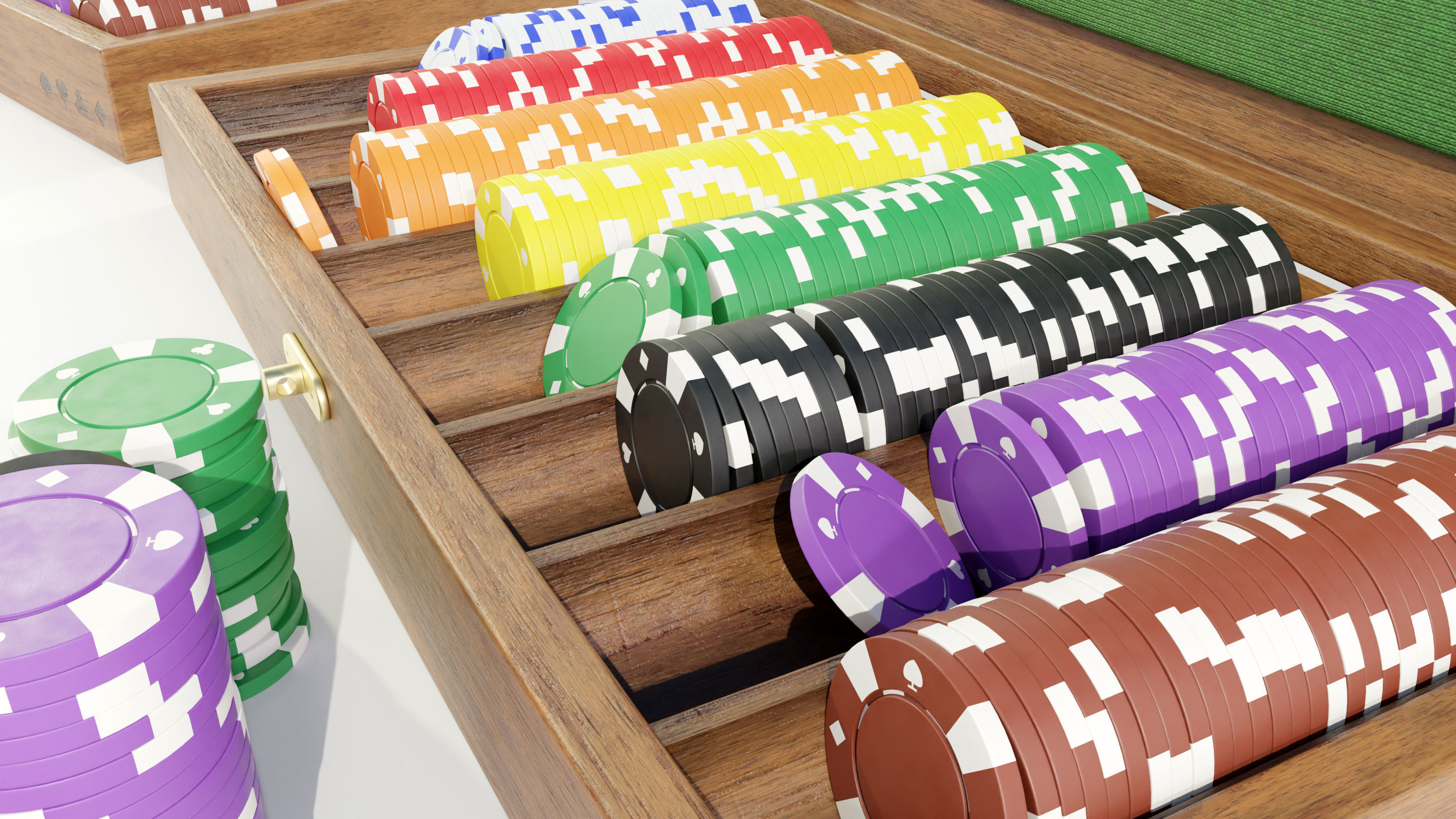 Chips with Case 3D model_9