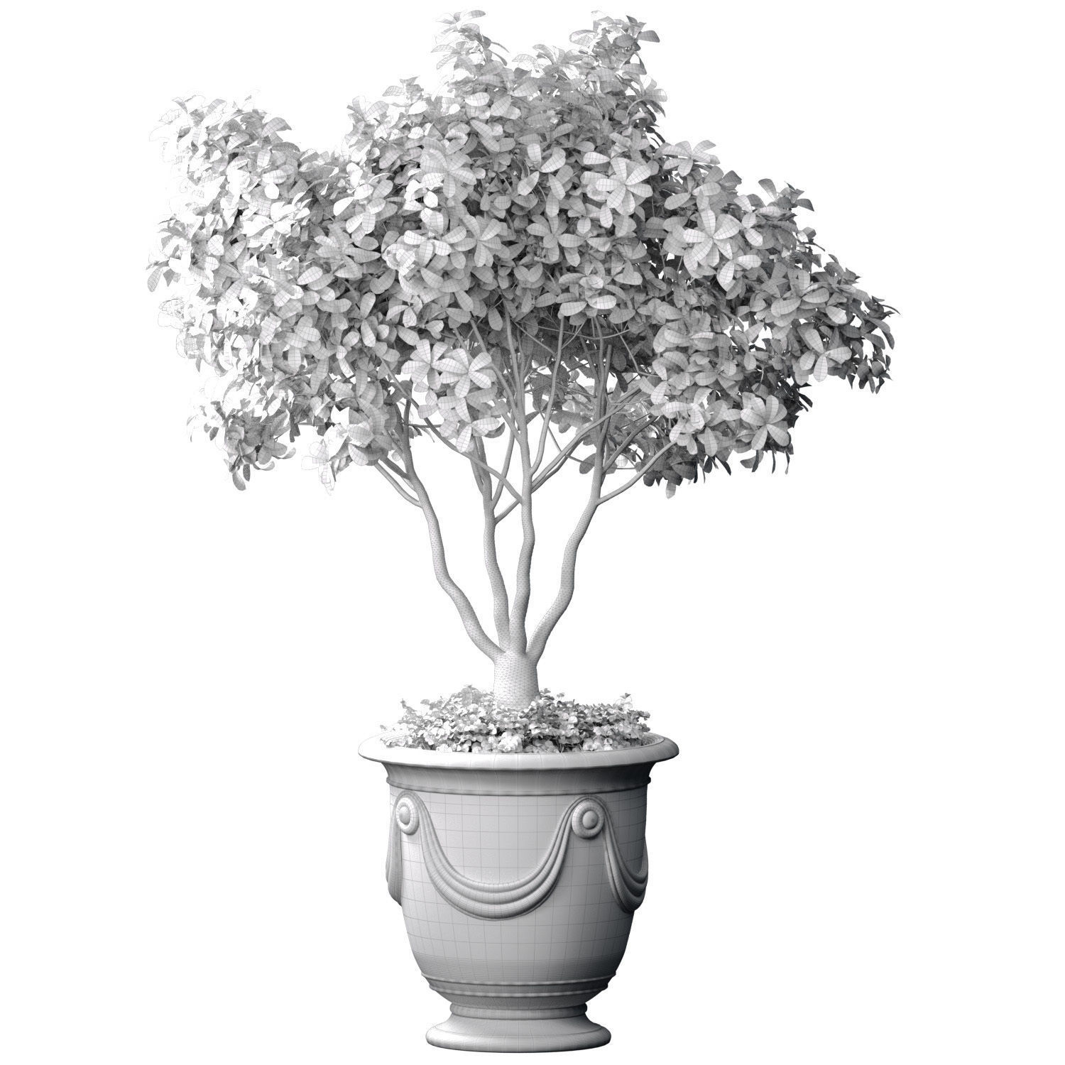 Decorative tree in a classic pot and flowerpot Indoor plant 3D model_2