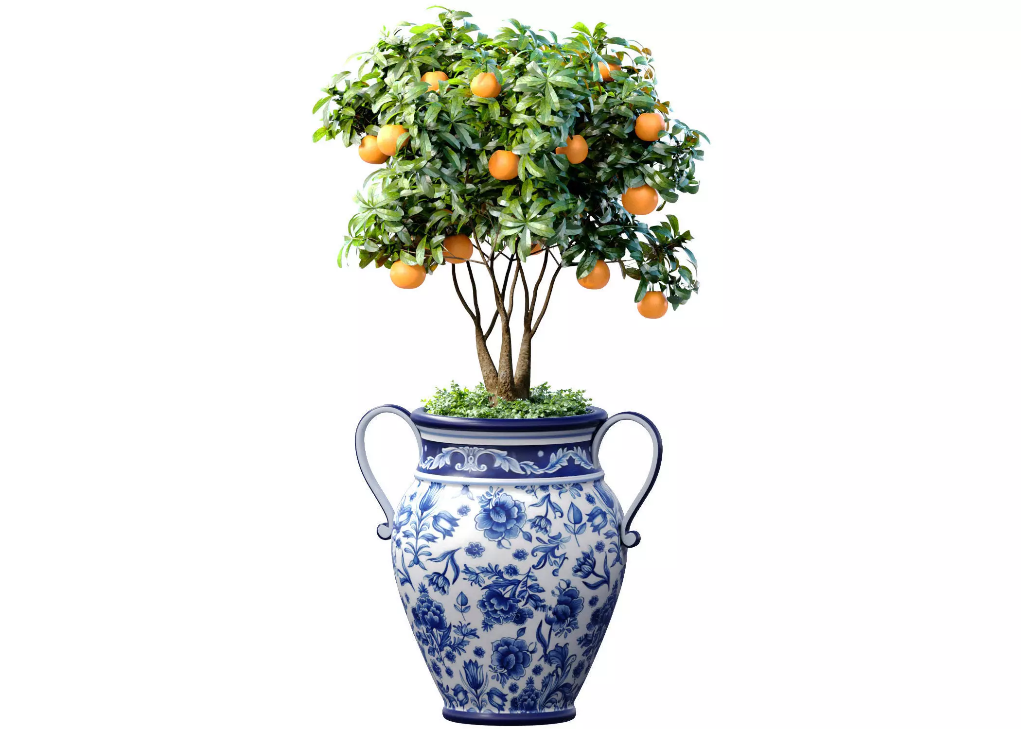 Orange Tree in an Italian vase Ornamental Citrus Indoor plant 3D model