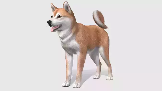 Dog - Shiba Inu Low-poly 3D model