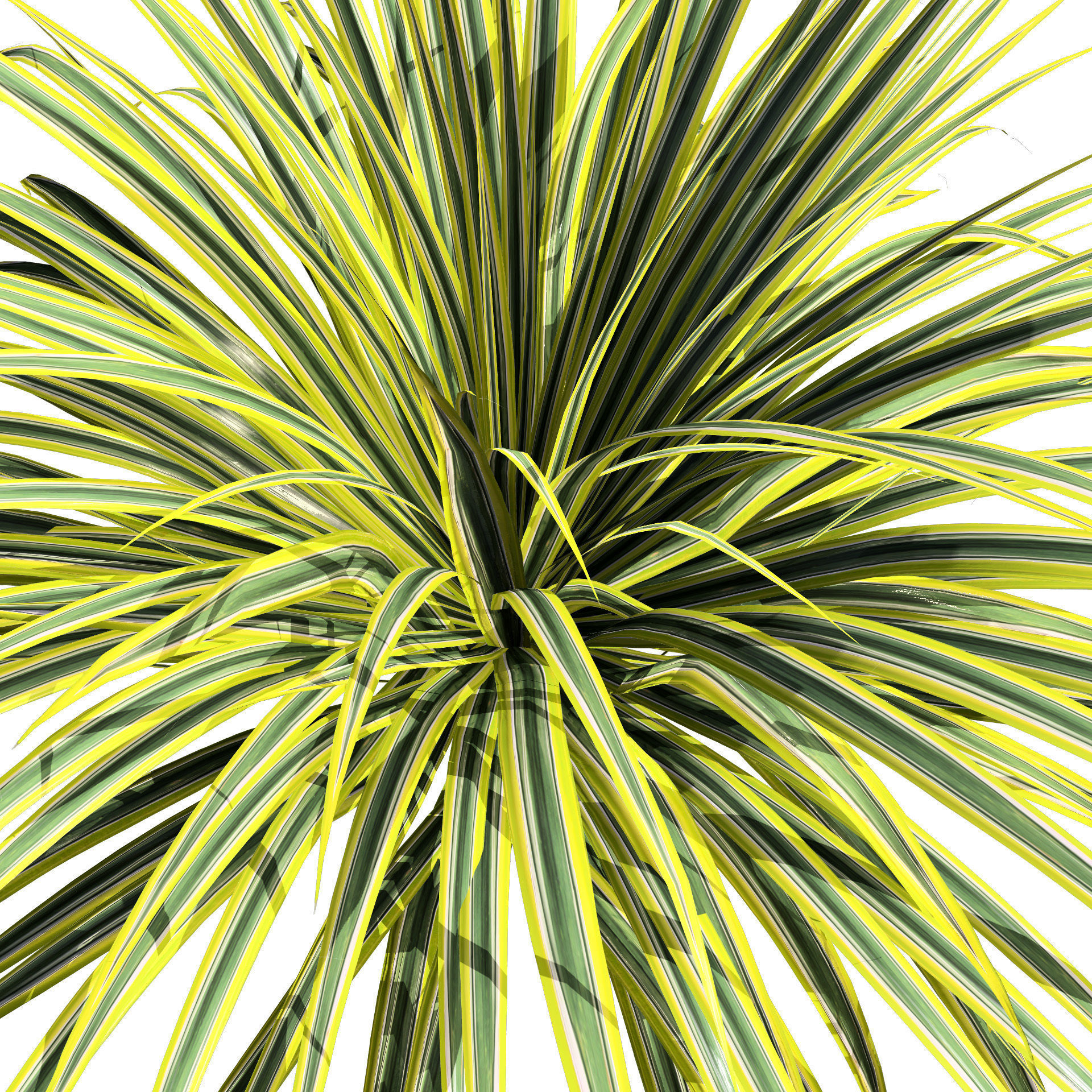 Banana Boat grass 3d Pack Low-poly 3D model_10