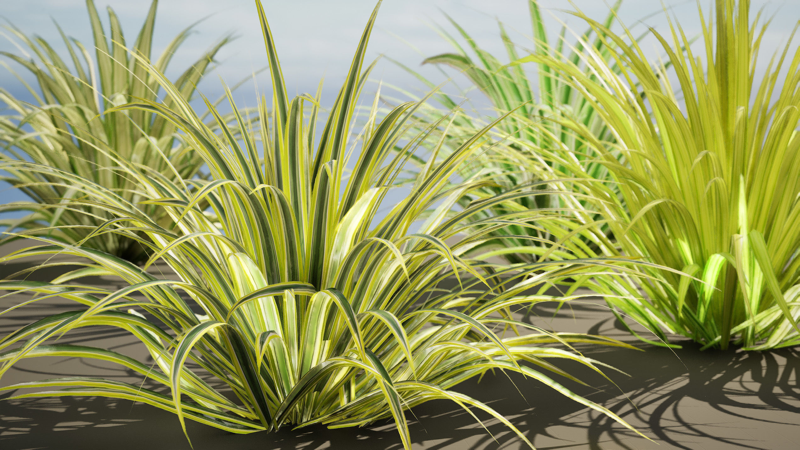 Banana Boat grass 3d Pack Low-poly 3D model_12