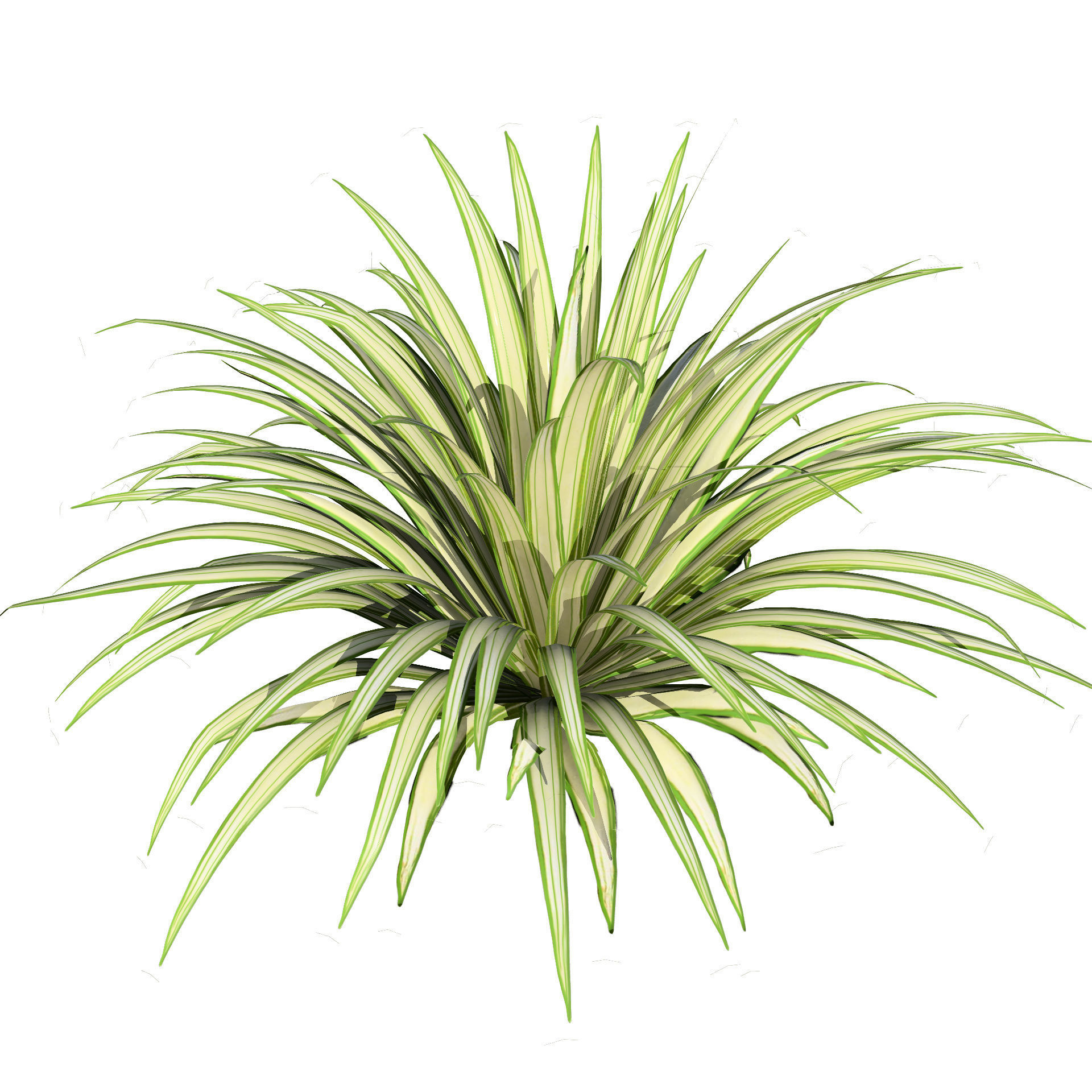 Banana Boat grass 3d Pack Low-poly 3D model_3