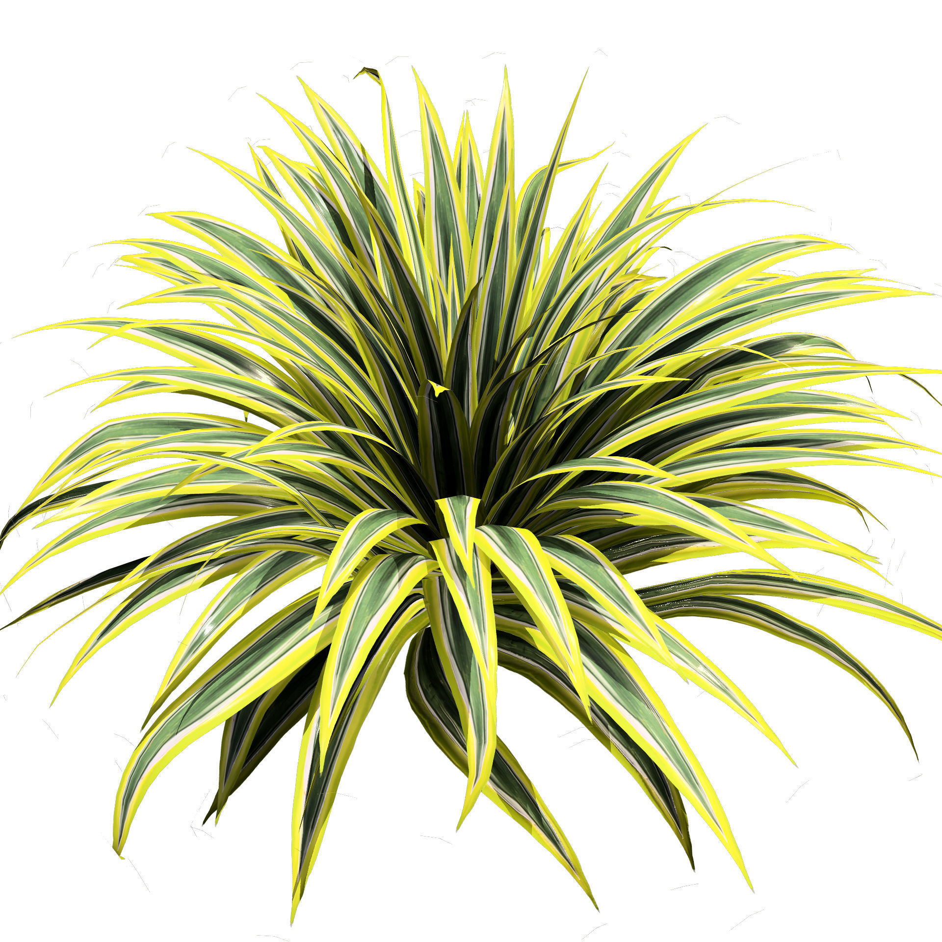 Banana Boat grass 3d Pack Low-poly 3D model_8