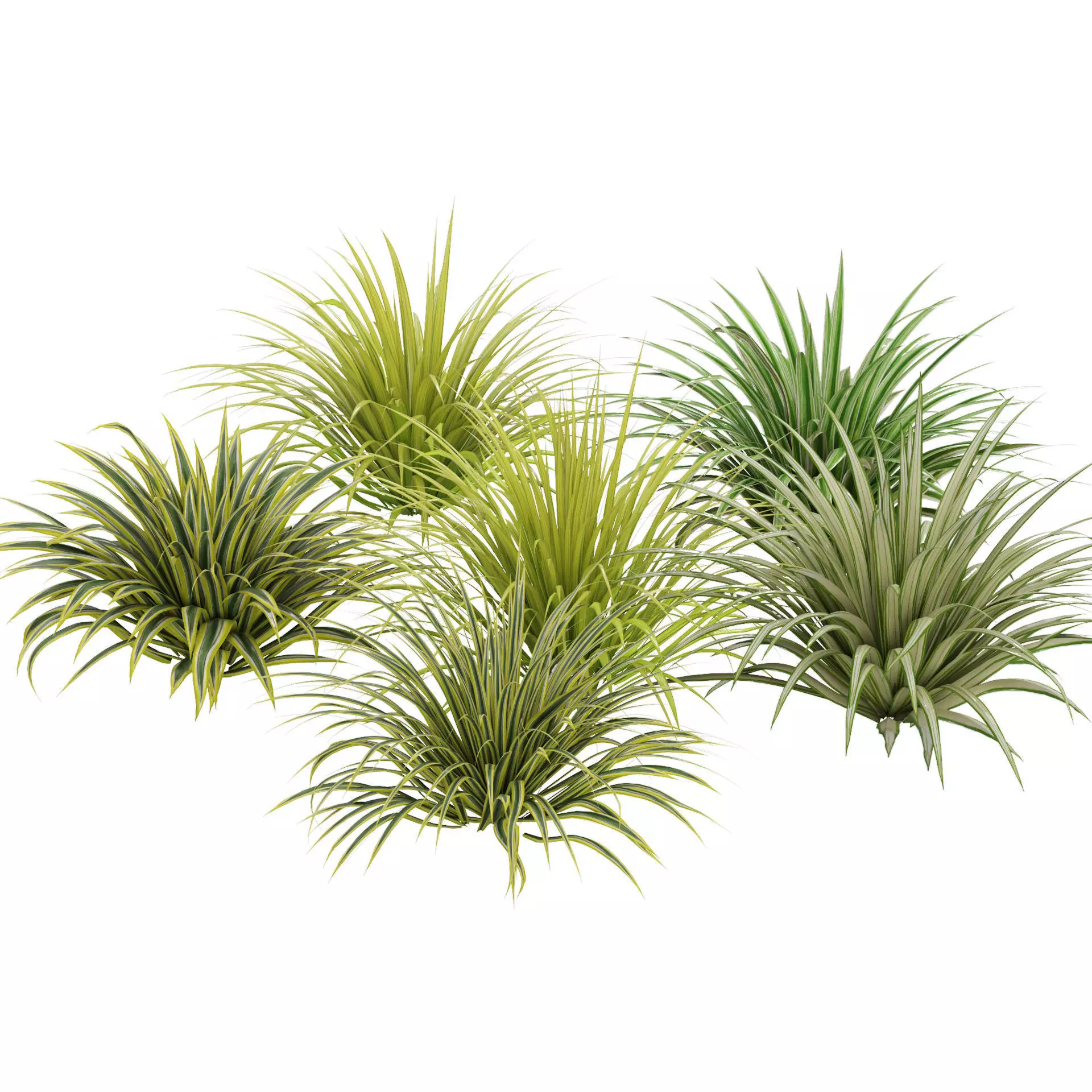 Banana Boat grass 3d Pack Low-poly 3D model_0