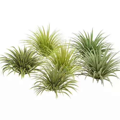 Banana Boat grass 3d Pack Low-poly 3D model