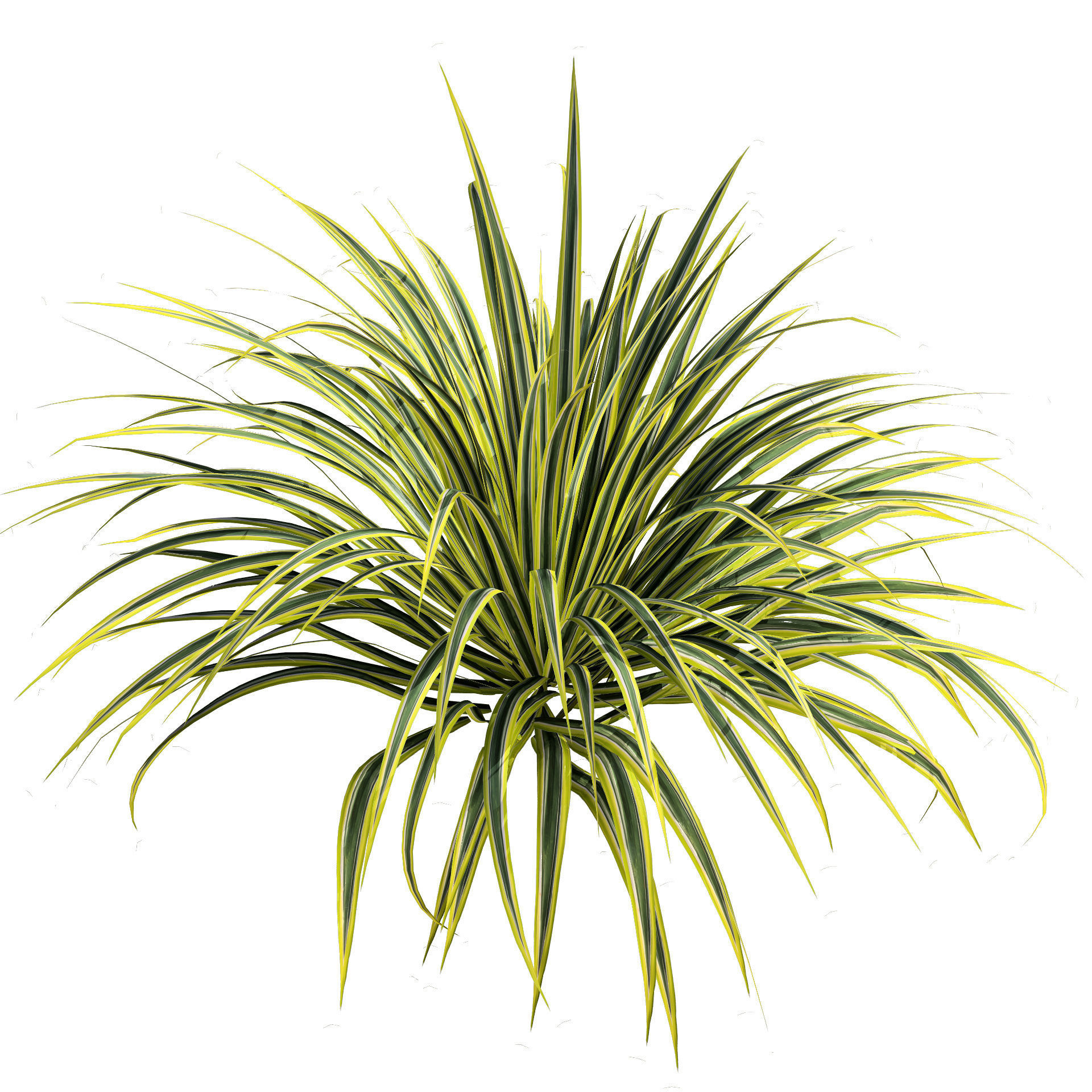 Banana Boat grass 3d Pack Low-poly 3D model_9