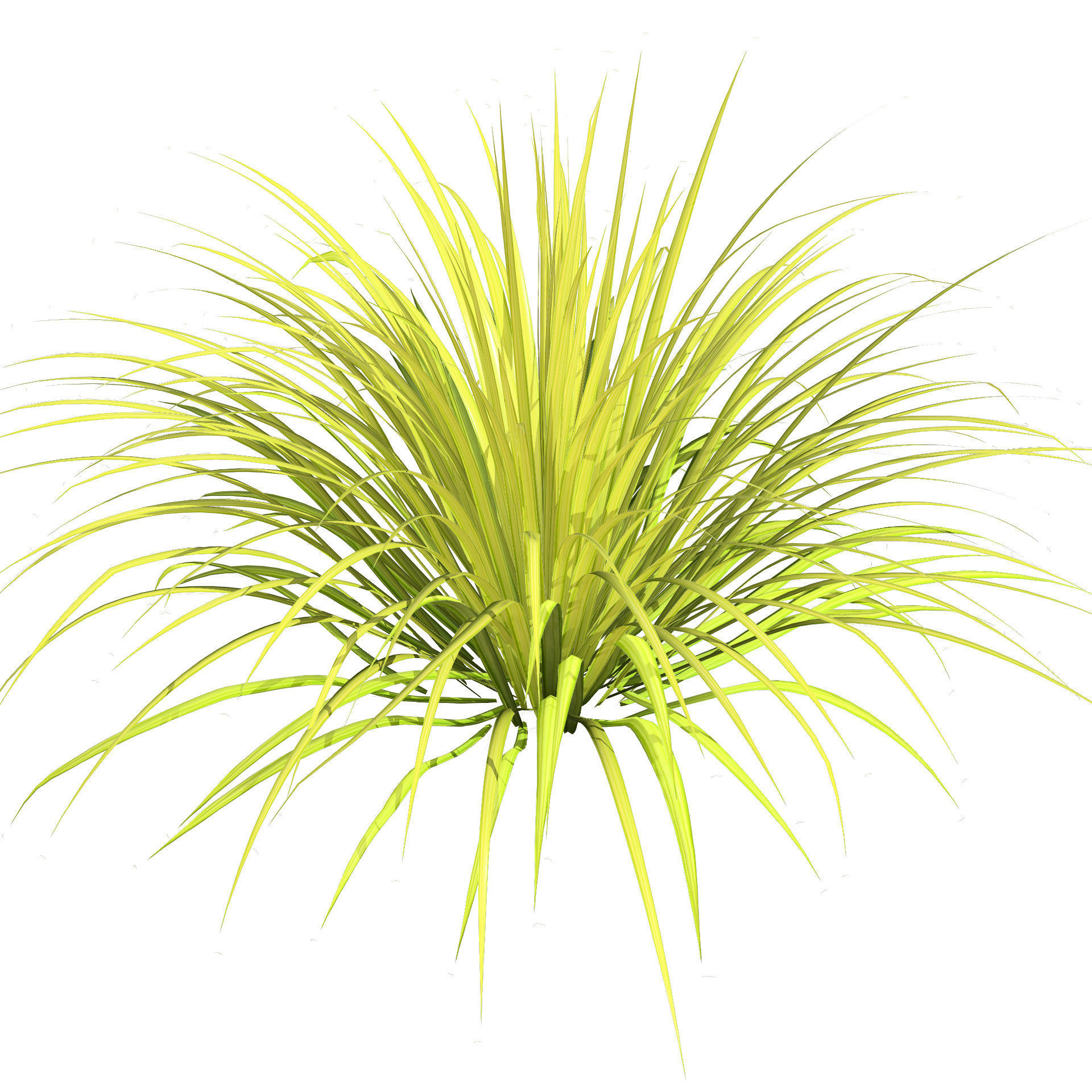 Banana Boat grass 3d Pack Low-poly 3D model_7