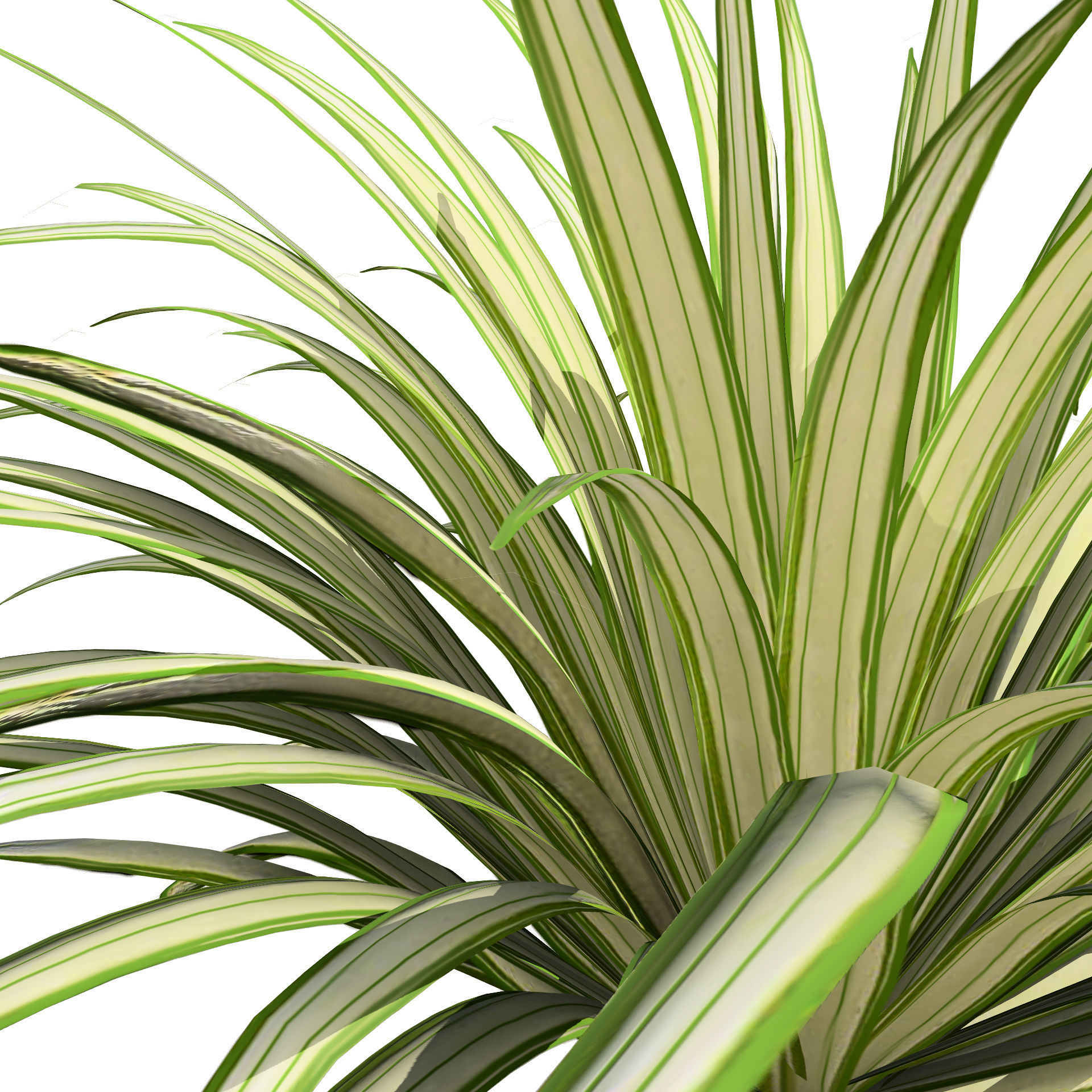 Banana Boat grass 3d Pack Low-poly 3D model_2