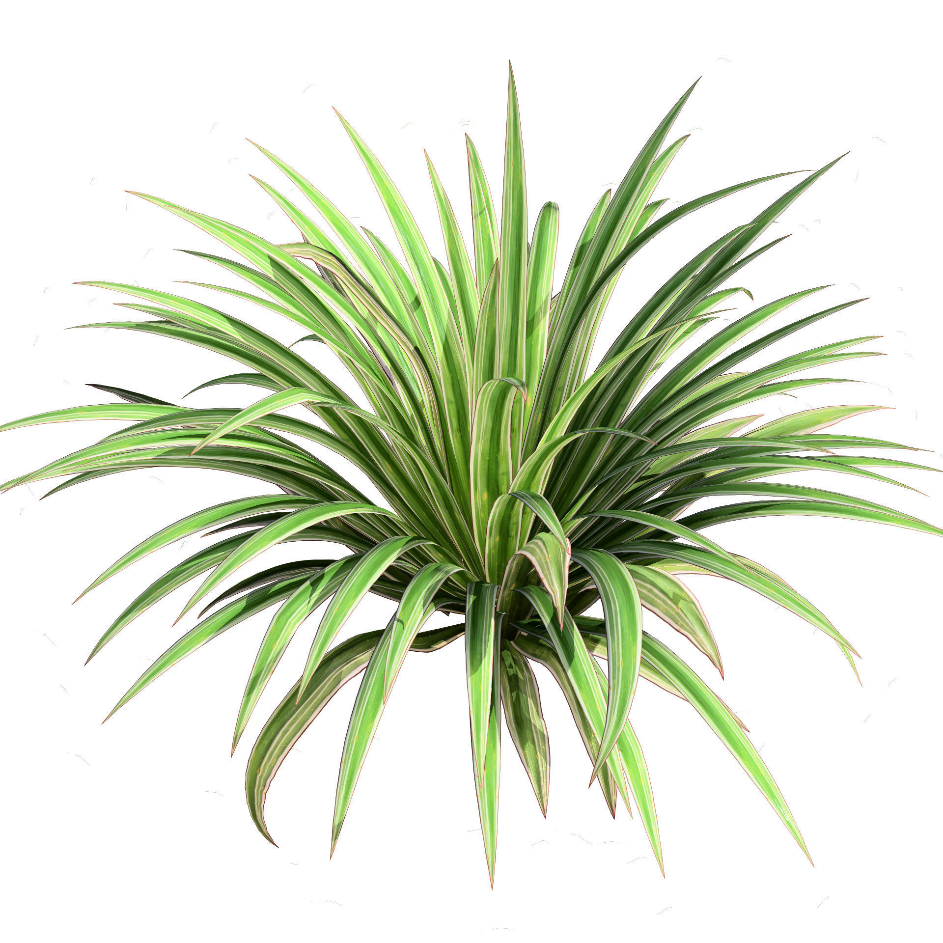 Banana Boat grass 3d Pack Low-poly 3D model_4