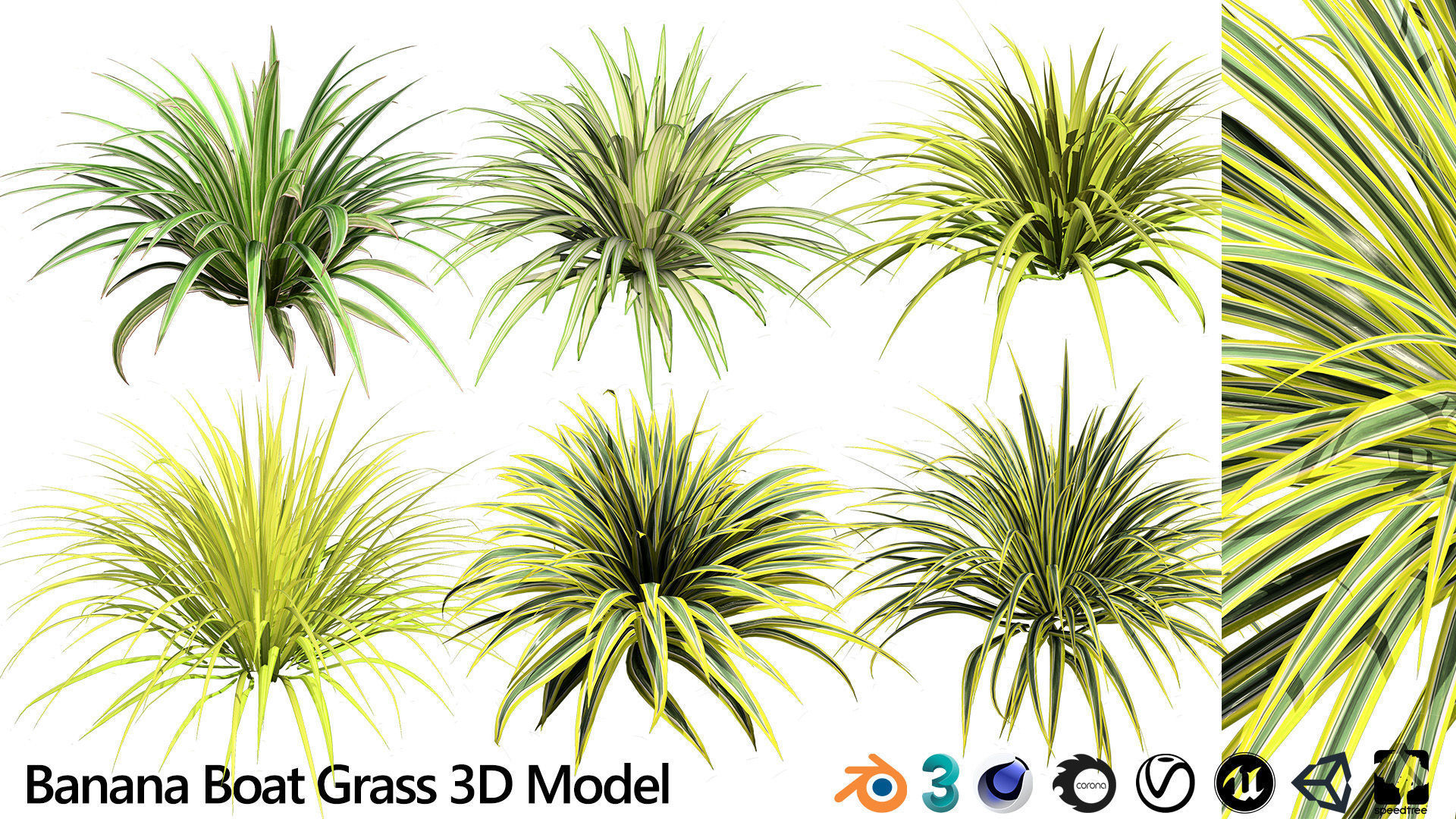Banana Boat grass 3d Pack Low-poly 3D model_15