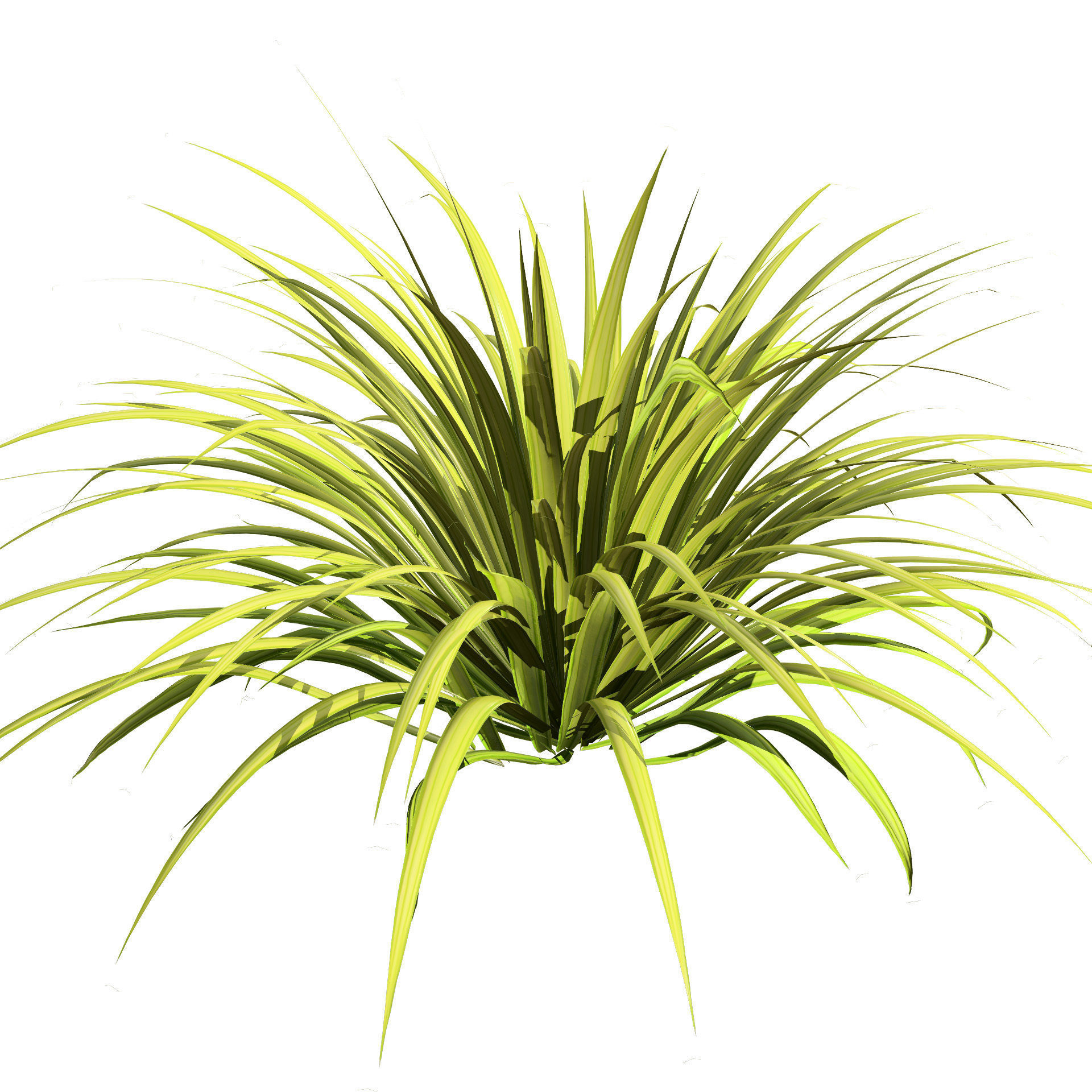 Banana Boat grass 3d Pack Low-poly 3D model_6