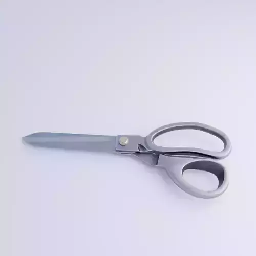 Tailor Scissors