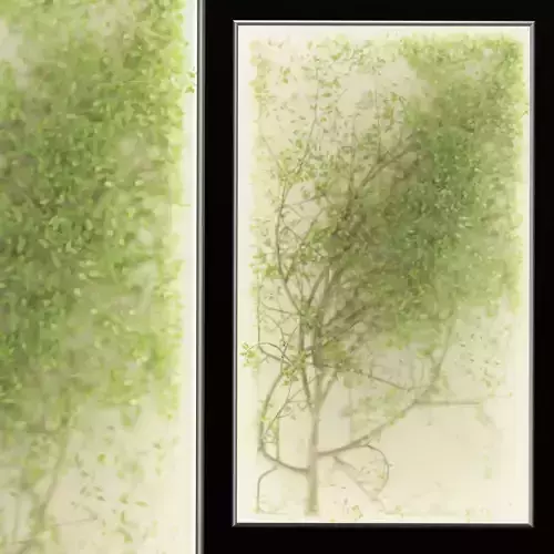 Plants in the light box vol 176-Blender