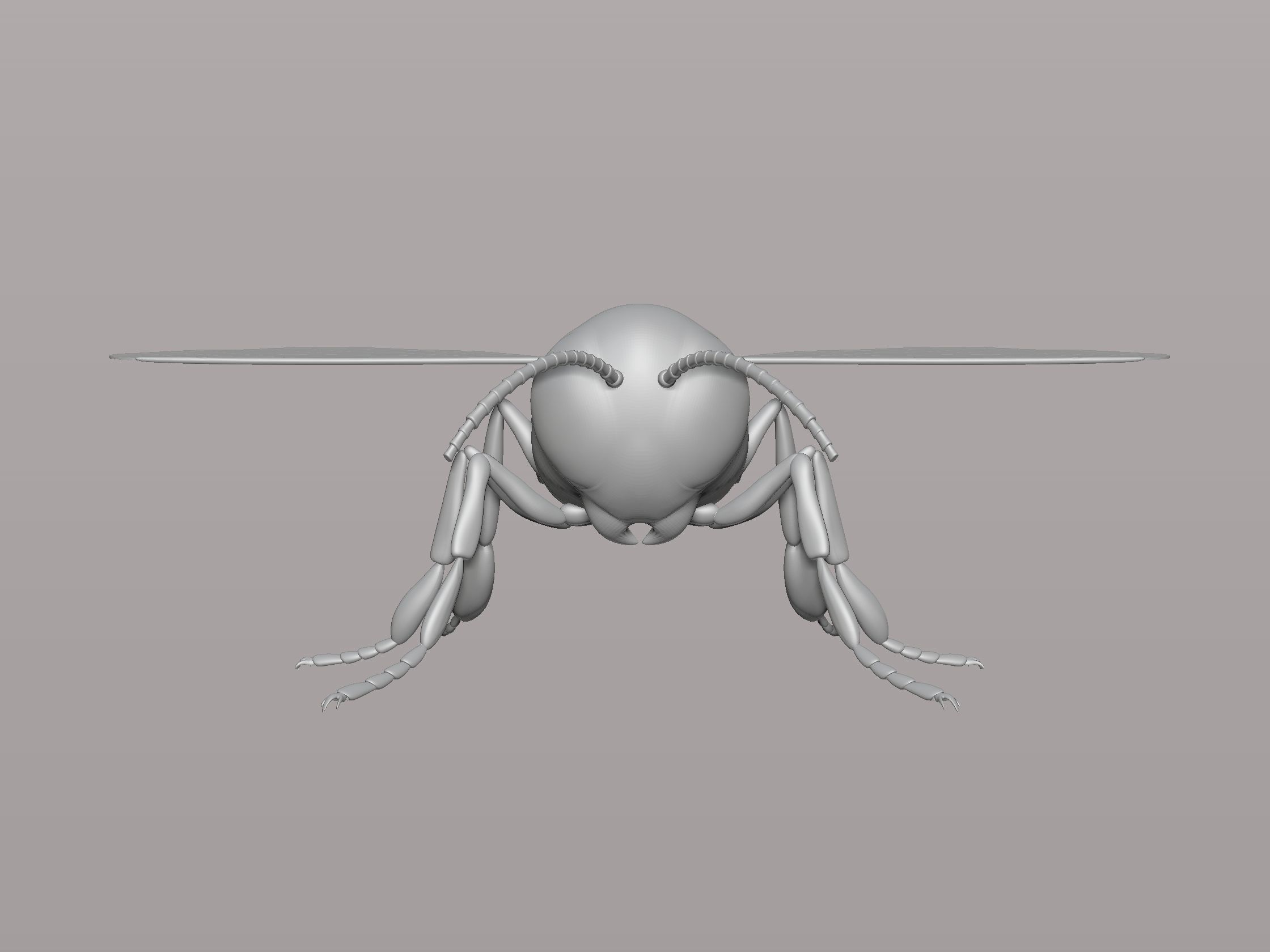 honey bee Free 3D print model_1