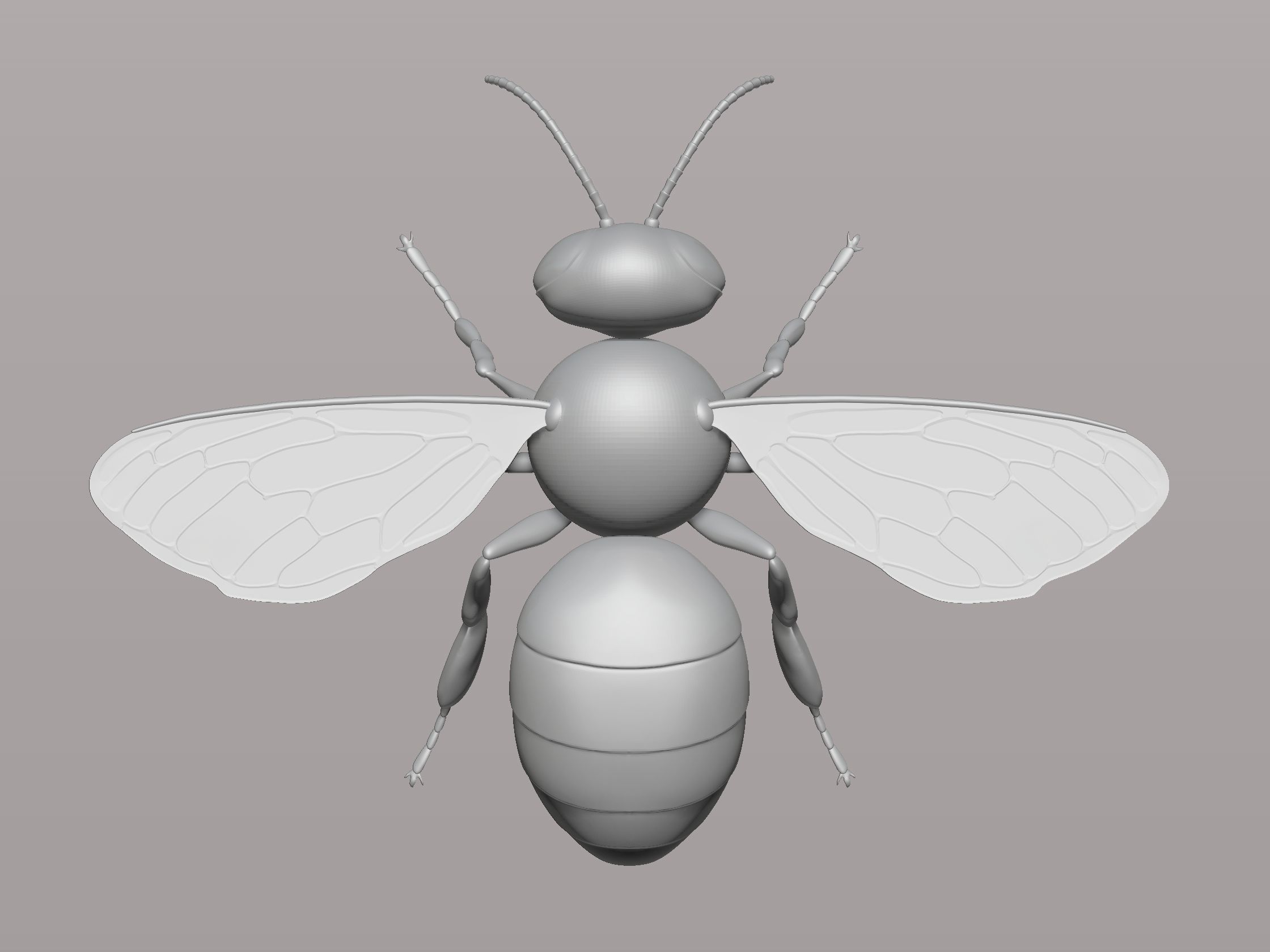 honey bee Free 3D print model_6