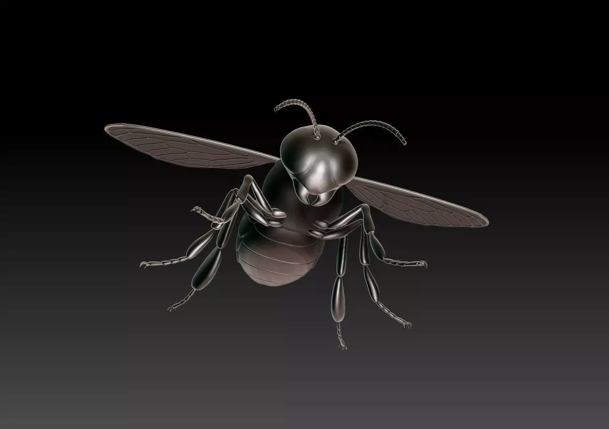 honey bee Free 3D print model_0