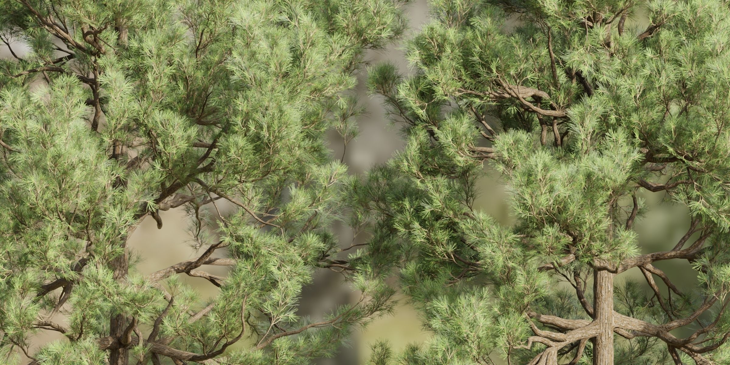 Pine trees collection vol 178-Blender 3D model_5