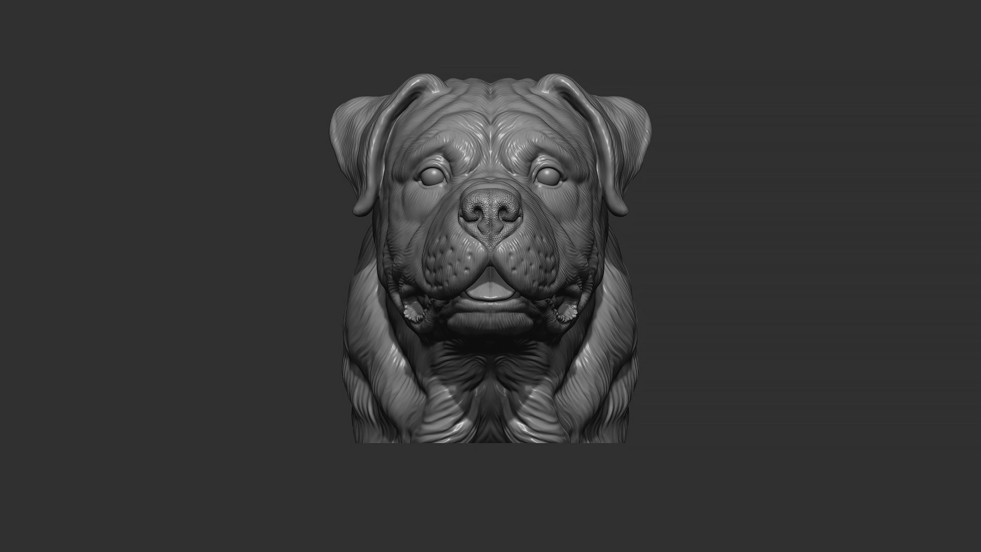 Rottweiler bust dog 3D print model_24