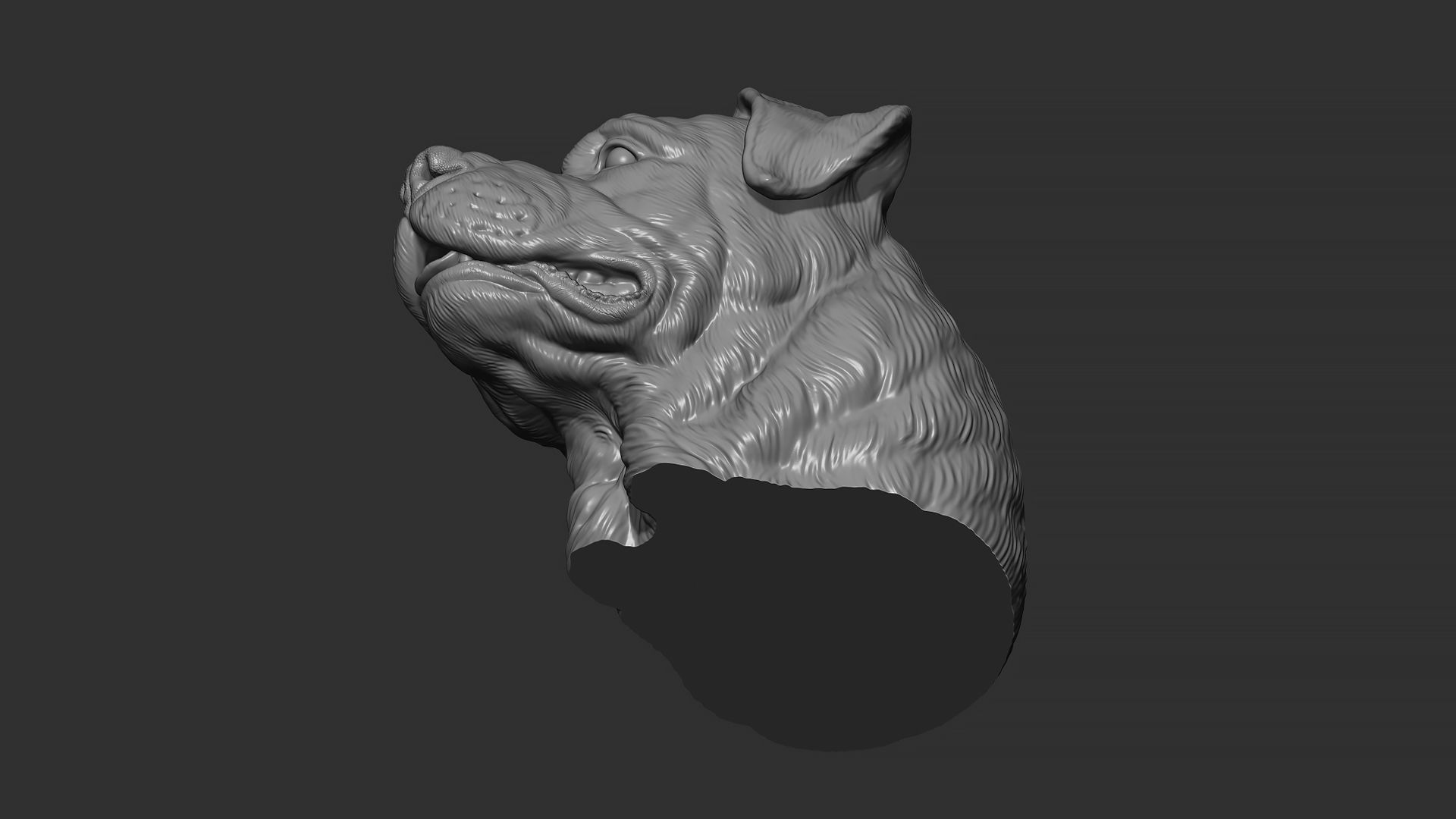 Rottweiler bust dog 3D print model_26