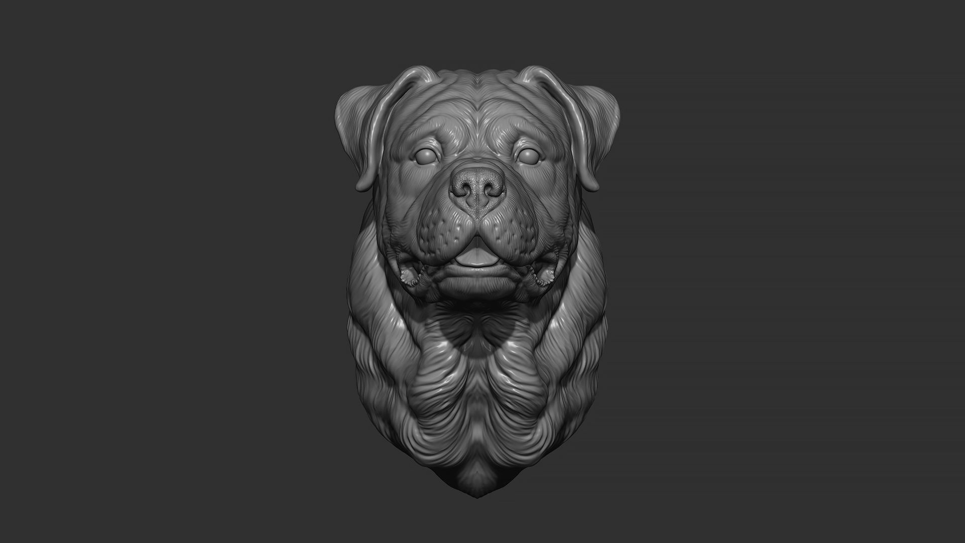 Rottweiler bust dog 3D print model_4