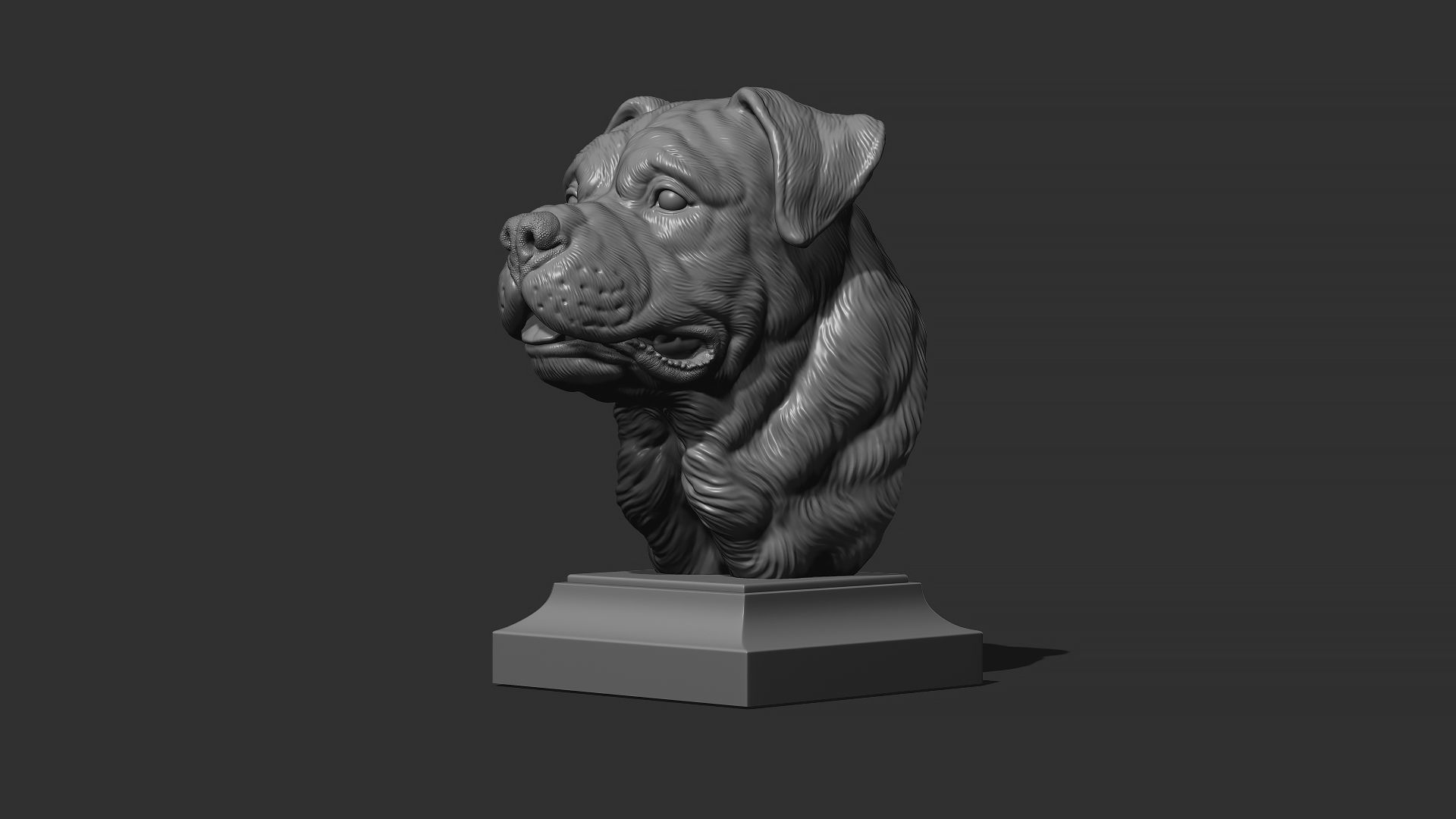 Rottweiler bust dog 3D print model_15