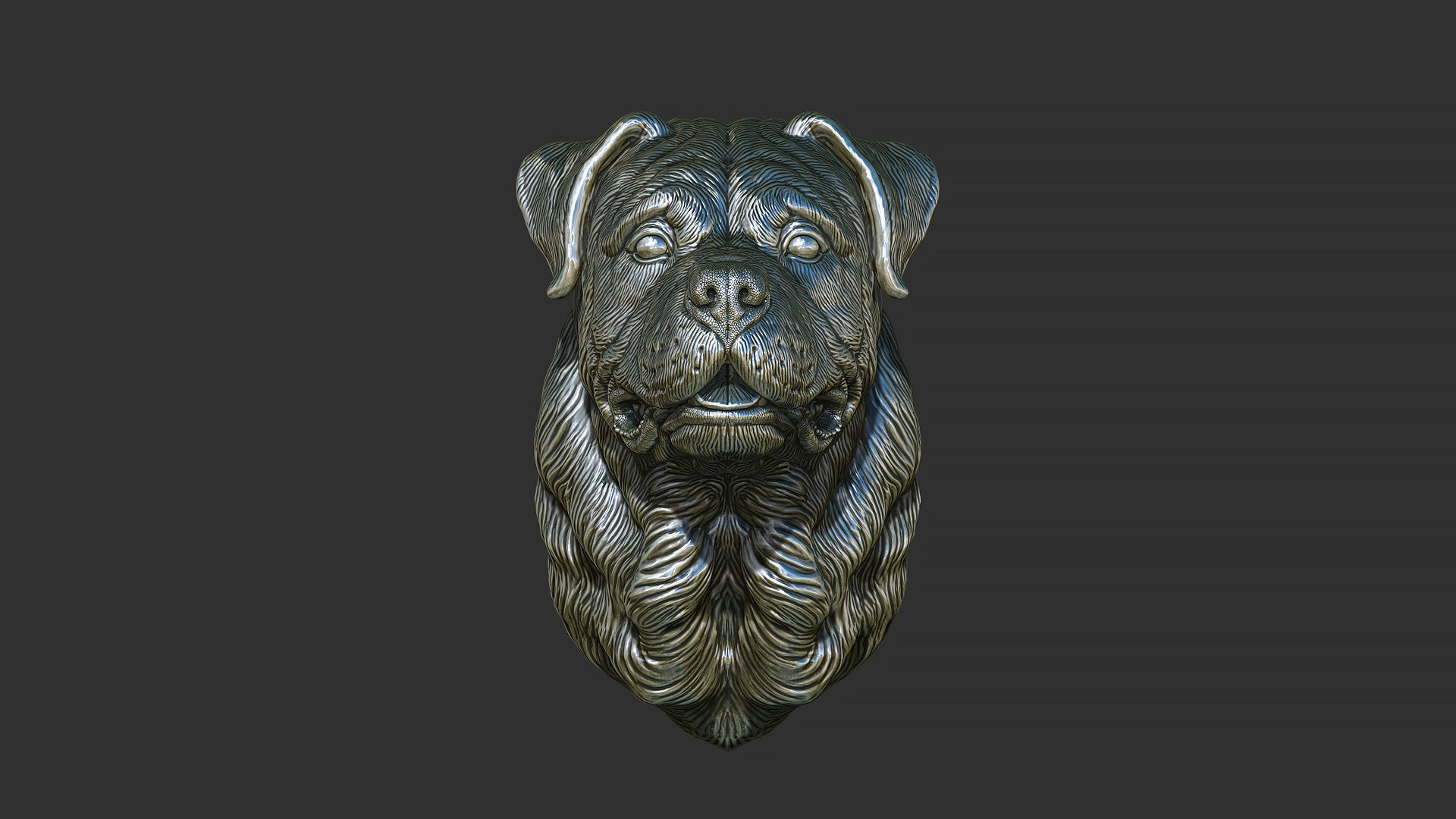 Rottweiler bust dog 3D print model_9