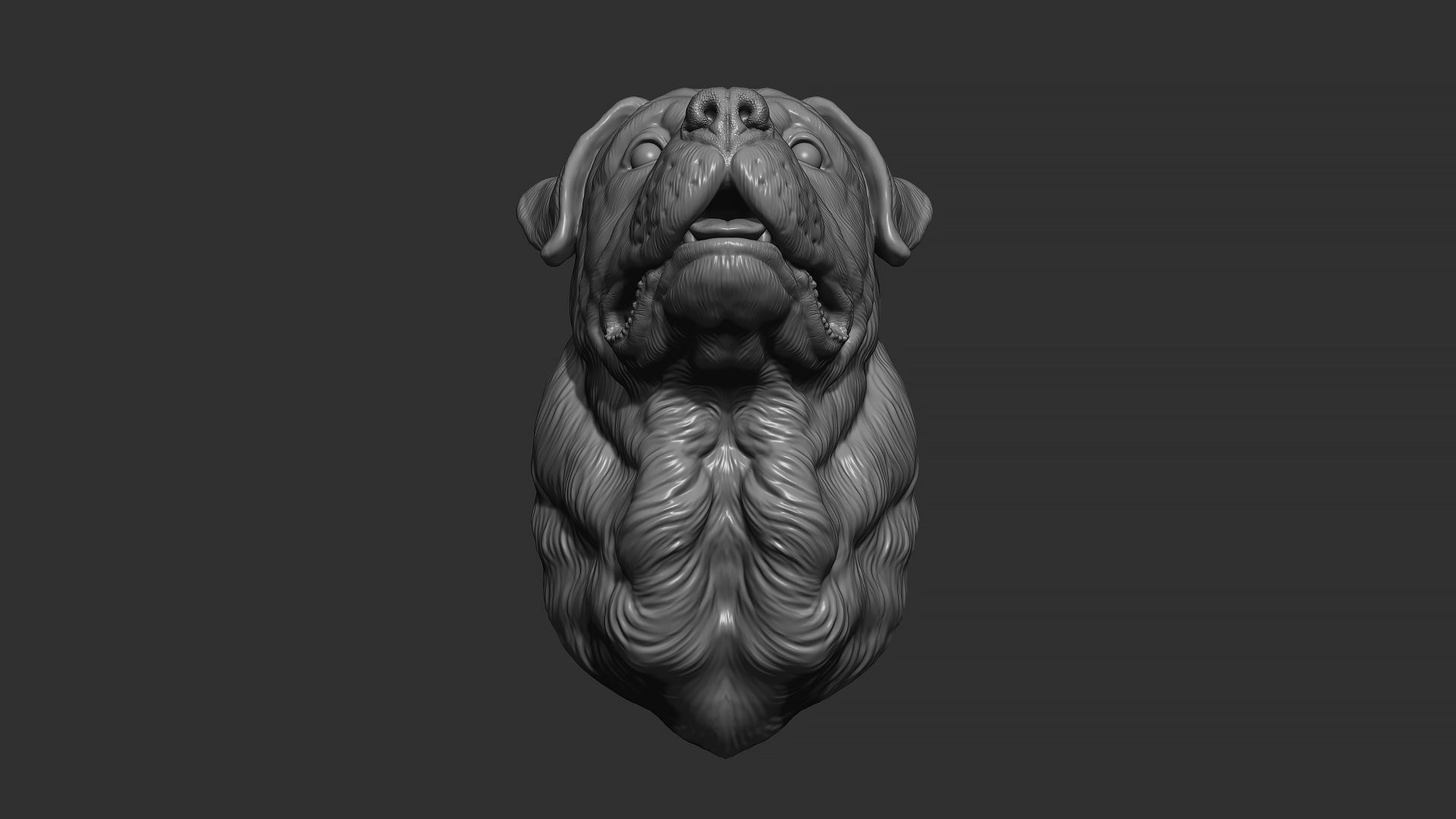 Rottweiler bust dog 3D print model_3